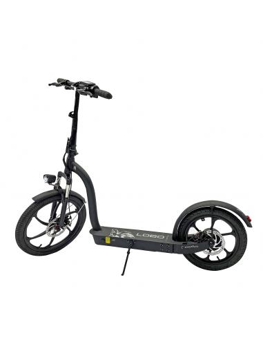 Patín eléctrico SmartGyro Lobo - Vista general